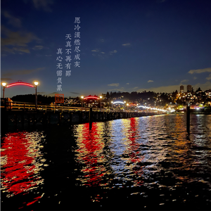 天天干天天干天天射
